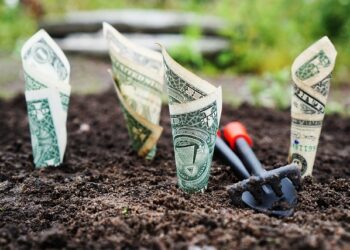 Smart Strategies for a Bear Market